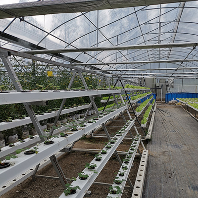 Mua Hệ thống trồng thủy sản cá thương mại Aquaponics Greenhouse Kit cho rau cá online manufacture