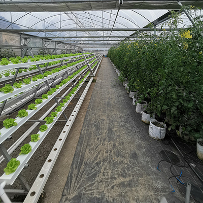 kopen Geautomatiseerd compleet aquaponisch systeem voor de visproductie online manufacture