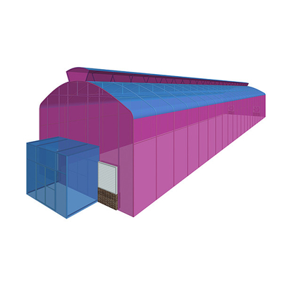 kaufen Insektensicherer Einfach-Span-Gewächshaus mit hohem Dach, Festfenster, grünes Polyhaus online manufacture
