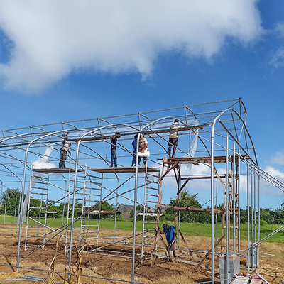 kaufen Großer Durchmesser-Rahmen Schwerlast-Gewächshaus mit Windschutz-Design Einfache Installation online manufacture