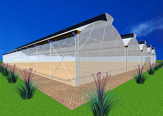 comprar En el caso de las instalaciones de invernaderos de plástico transparente fiable y transparente, los kits de invernaderos poli online manufacture