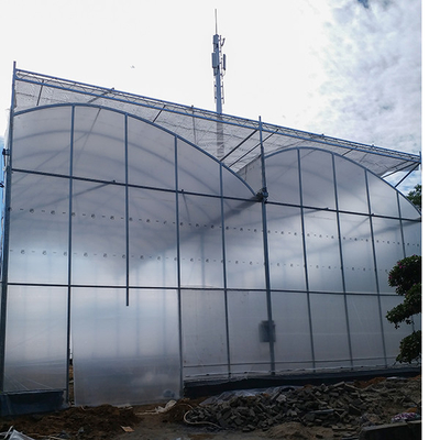 comprare Eccellente ventilazione naturale serra a denti di sega con telaio galvanizzato a caldo e tetto alto per l'agricoltura online manufacture