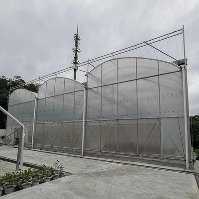 comprare Ventilazione serra a prova di vento con copertura in PVC online manufacture