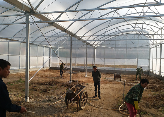 comprare Fiore industriale serra commerciale in alto tunnel con finestre fisse sul tetto online manufacture
