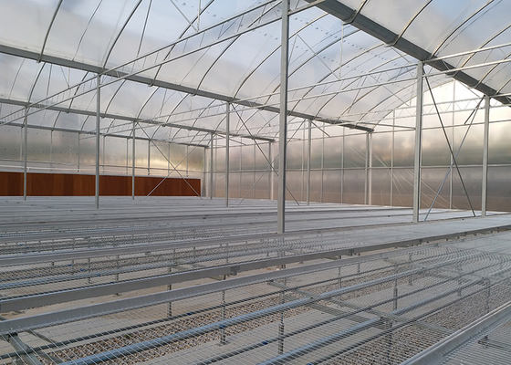 comprar Fácil de instalar invernadero de múltiples tramos con diseño antiviento de marco de gran diámetro online manufacture