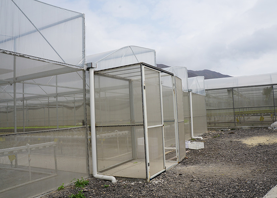 Mua Hệ thống nhà kính hydroponic chống mưa với hỗ trợ nhựa online manufacture