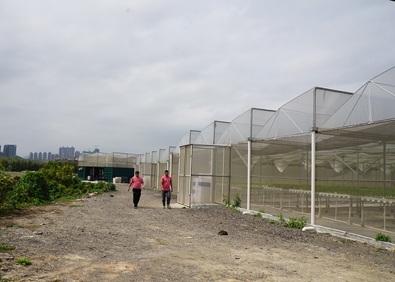 Buy Heavy Duty Windproof Commercial Hot Houses Reinforced Plastic Greenhouse online manufacture
