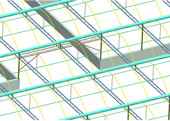 kaufen Hohe Festigkeit Hydroponischer Klarschirm Gewächshaus Starker Poly-Tunnel online manufacture