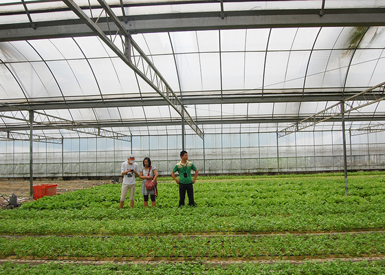 comprare Resistenza alla corrosione in serra da 12 a 14 m di larghezza per la coltivazione di fiori vegetali online manufacture