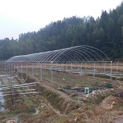 Mua Polyethylene Multi Span Greenhouse Lightweight UV bảo vệ 80/120/150/200 micron online manufacture