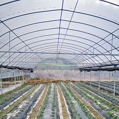 comprare Rete di ombrello per serre a più distanze a prova di insetti per la coltivazione di fiori online manufacture