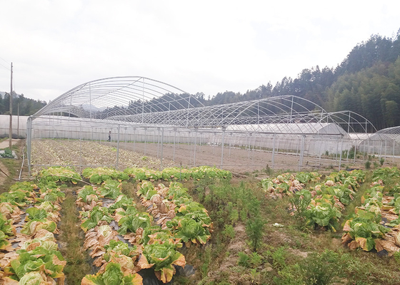 Buy Durable Heavy Duty Commercial Greenhouse Woven Weather Resistant online manufacture
