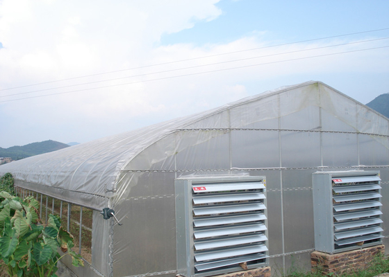 comprar Invernadero industrial inteligente para el cultivo de vegetales online manufacture