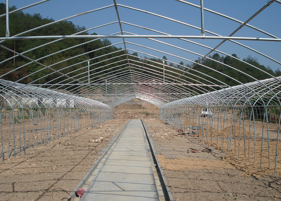 Buy Poly No Welding Hydroponic Greenhouse Systems With Hydroponics Growing System online manufacture