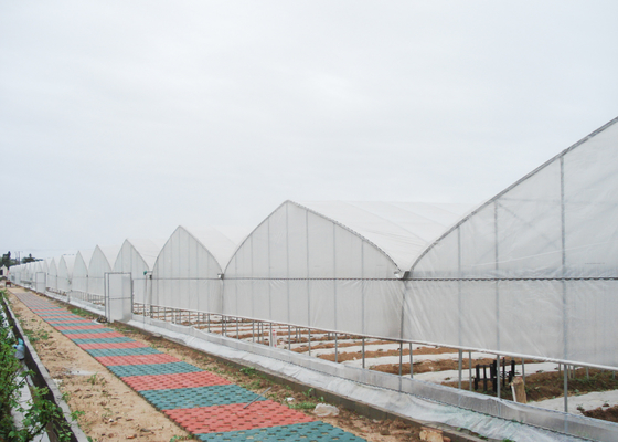 comprare Serra UV resistente a più intervalli lunghezza 100 metri per frutta e verdura online manufacture