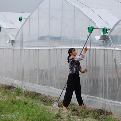 kopen Plastic Multi-Span Commercial Tunnel Greenhouse Metalen frame Plastic Greenhouse online manufacture