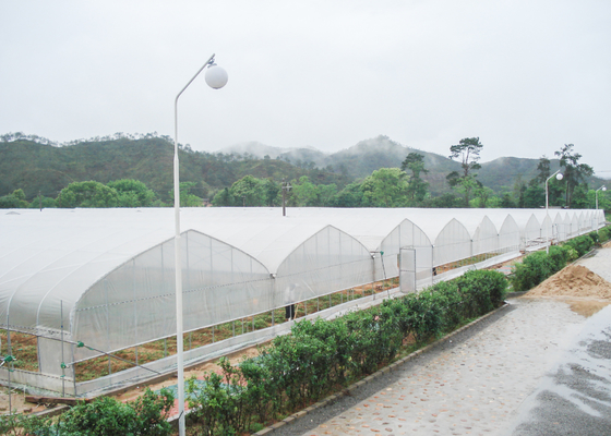 kopen Handmatige multi-span kas 3,5-4,5 meter dakhoogte voor het planten online manufacture