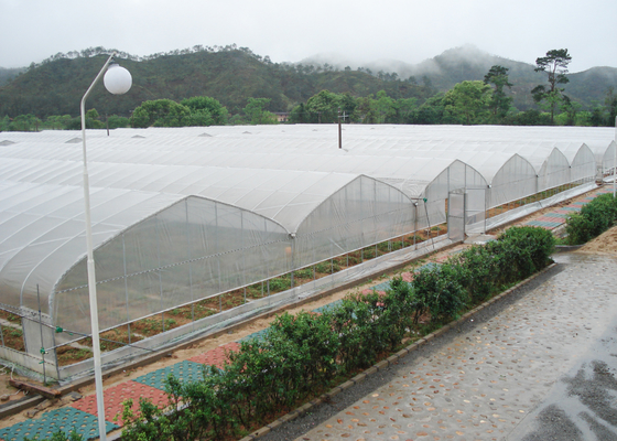 comprare Serre per ortaggi agricoli con copertura in plastica online manufacture