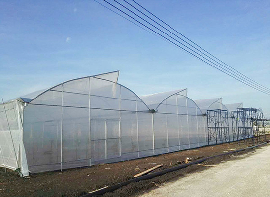 comprare Serra multi-spans con ventilazione sul tetto a denti di sega 10-60 metri online manufacture