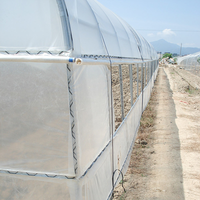 Buy Pe Film Uv Resistant Greenhouse Plastic Sheet For Greenhouses online manufacture