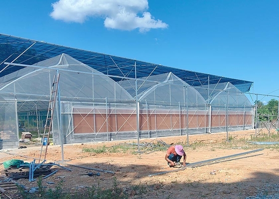 comprare Casa verde galvanizzata poli-multi-tunnel con copertura di plastica resistente online manufacture