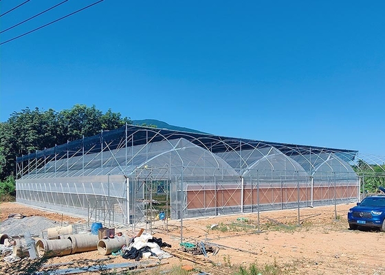 comprare Struttura in polietilene resistente a più strisce con sistema di ventilazione manuale o motorizzata online manufacture