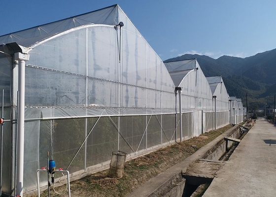 comprare Struttura di serra coperta da pellicola PE con finestre ventilate online manufacture