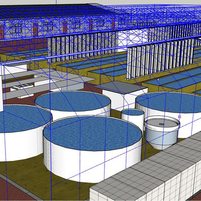 Sistema di coltivazione acquaponica commerciale Riciclaggio dell'acqua da banco DWC