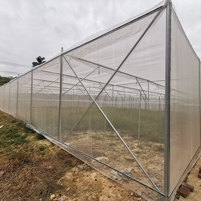 Rete di insetti per l'agricoltura Casa leggera che regola il microclima