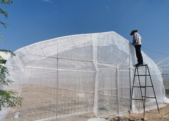 8x6 Value Greenhouse. Tempere resistente, UV-resistente per giardinaggio commerciale e domestico.