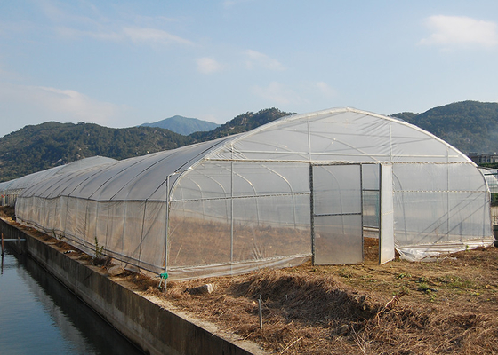 Ventilazione Galleria di plastica Serra giardino Galleria poliestera per pomodori Crescita più vigorosa