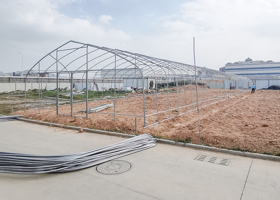 Polytunnel in poliplastica serra Buona trasmissione della luce per le sementi
