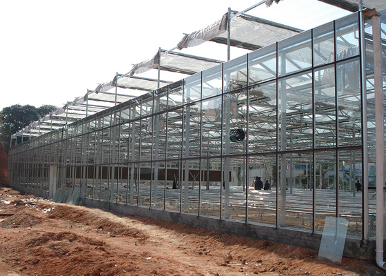 Serre galvanizzate VENLO trasparenti e facili da assemblare per un'agricoltura efficiente e di alto valore