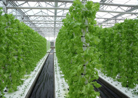 Risparmio di spazio Sistema idroponico Nft verticale Eco-friendly Riciclo Risorse idriche