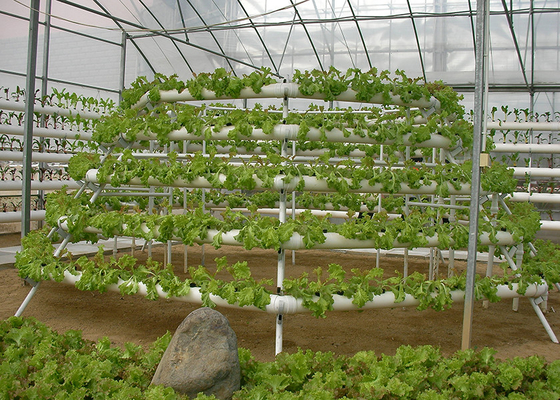 Sistema di tecnica del film nutritivo di facile manutenzione con una forte adattabilità