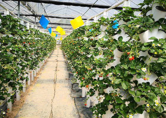Sistema automatizzato di NFT verticale per l'irrigazione delle verdure