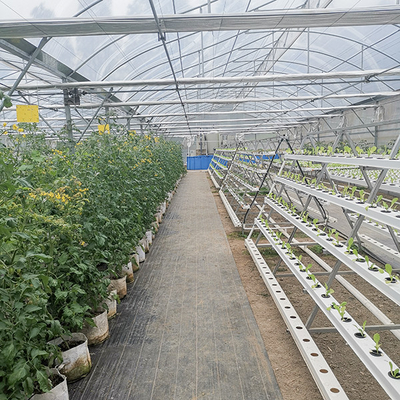 Sistema idroponico NFT verticale con canale PVC di qualità alimentare