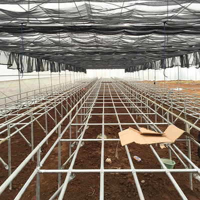 Facile manutenzione Hydroponics con frigorifero ad acqua