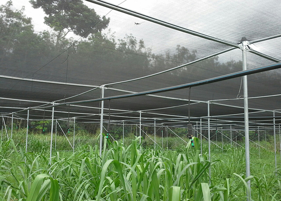 Non saldatura UV bloccante ombra rete casa per aree ricreative