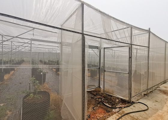 Casa con rete di insetti resistente al vento senza saldatura per la coltivazione di frutta