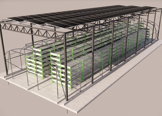 Serra per funghi all'aperto ecologica con sistema fotovoltaico integrato sul tetto
