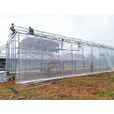 Casa verde in plastica naturale di raffreddamento realizzata con tubi galvanizzati senza saldatura