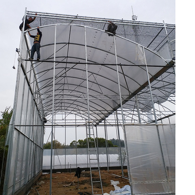 Serra UV in plastica con tetto alto con ventilazione naturale per i climi piovosi