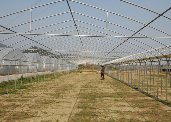 Serra esterna in plastica a fragole intelligente Serra commerciale di grandi dimensioni