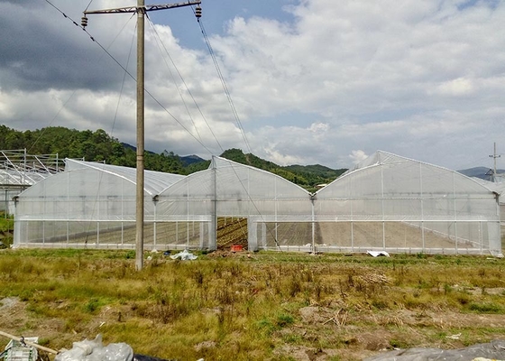 Serra galvanizzata a prova di ruggine con pellicola di plastica antiracque per climi difficili